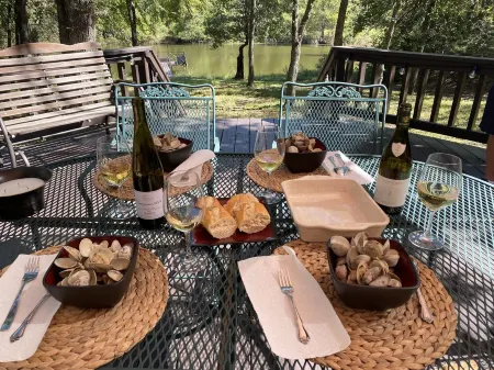 This relaxing cabin is cozy and secluded with private pond and fishing dock