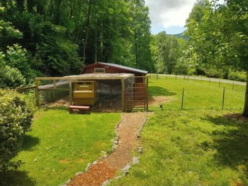 Cabin on the Creek in Sylva with Chicken Coop - Pet friendly!!!