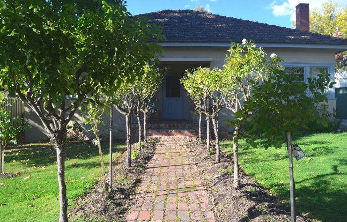 Yea Fig Tree House. Three bedroom plus study comfortable family home.