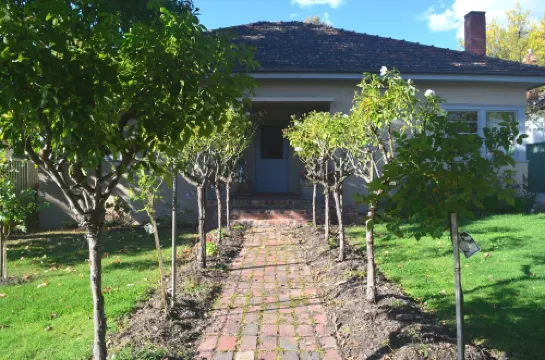 Yea Fig Tree House. Three bedroom plus study comfortable family home. 耶伊酒店