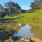 Tranquil Cabin, Off Grid with Amazing Views Hotels in Meelon