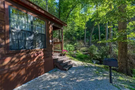 Mountain serenity close to hiking, rafting, fishing and kayaking.  "Coyote Song"