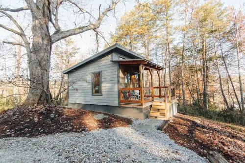 Cozy tiny cabin in the woods- Unit #1