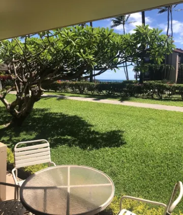 No Resort or Parking Fees. Beautiful Ocean Front, Ground Level Condo with A/C. Отели в г. Напили-Хоноковаи