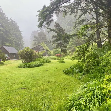 Bob Creek Studio - across from Bob Creek Beach, Forest.