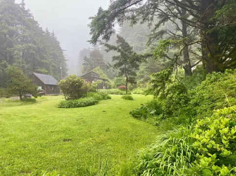 Bob Creek Studio - across from Bob Creek Beach, Forest.