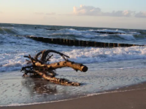 Vacation home close to the beach for 2 to 3 people on a large plot, quiet location. Hotels in Ahrenshoop