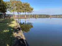 Escape to Serenity Lake House on Lake D'Arbonne, Fire Pit, Porch and Boat House