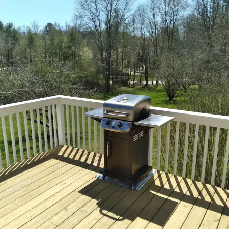 Nicely located, Cozy, PET Friendly cottage in beautiful Lake Toxaway, NC Отели в г. Хогбек