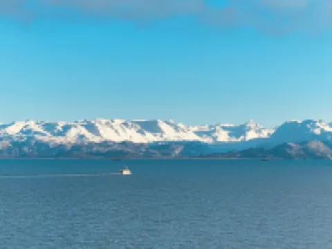 ORCA HOUSE SPECTACULAR VIEW!! KACHEMAK DRIVE