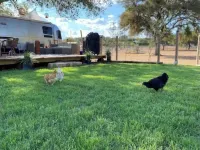 Luxurious Airstream Getaway in New Braunfels!