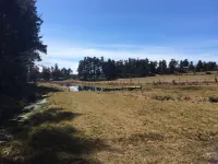 A little corner of paradise