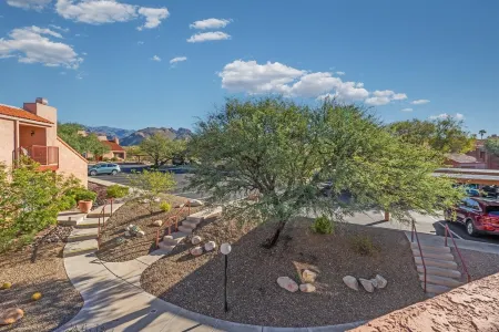 Winter-Ready Oasis Sabino Canyon Pool & Spa