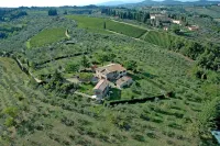 RELAX BETWEEN OLIVES AND WINEYARDS, NEAR FLORENCE