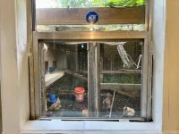 Downtown cottage 7 miles from beach