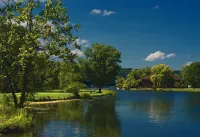 Cayuga Lake Cabins, Gorgeous Log Cabin home, Cabin C, fire pit, dog friendly