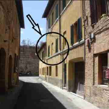 Lady Camollia Apartment Others