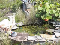 Private Oceanfront, Pet Friendly, One Bedroom - ジャグジー