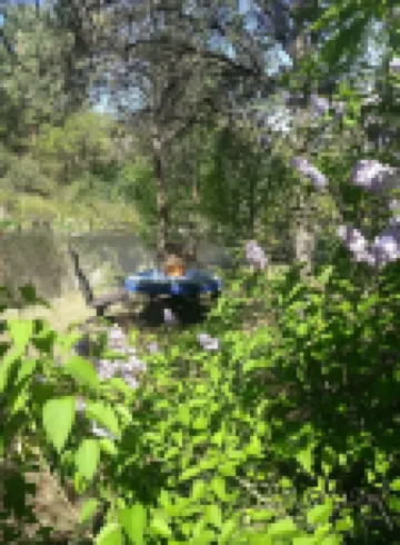 Bit of HEAVEN sleep 50 feet from Roaring Fork River