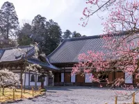 Hotel Matsushima Taikanso