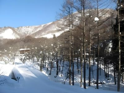 ホテル周辺 高山わんわんパラダイスの写真