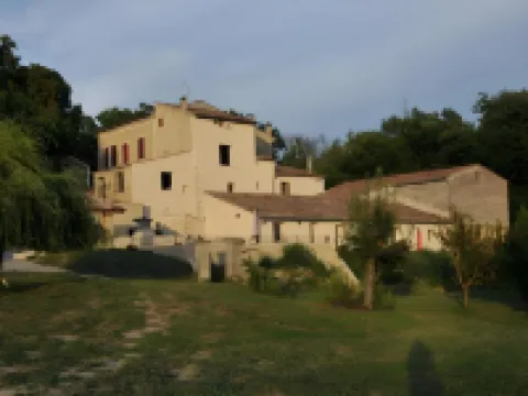 Les Ânes de Forcalquier