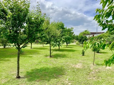 The Green Home Hotel in zona Tomba di Dante