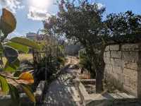 Casa Aurora - Restful garden and BBQ in the heart of Salento 스코라노 호텔