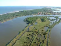 ビーチ に 近い 美しいフラット - ビーホスト レンタルズ