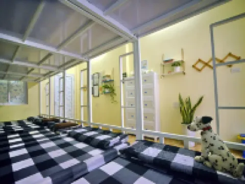 Quy Nhon Homestay Bnb Hotels in Ghenh Rang