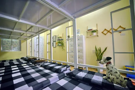 Quy Nhon Homestay Bnb Отели в г. Ghenh Rang