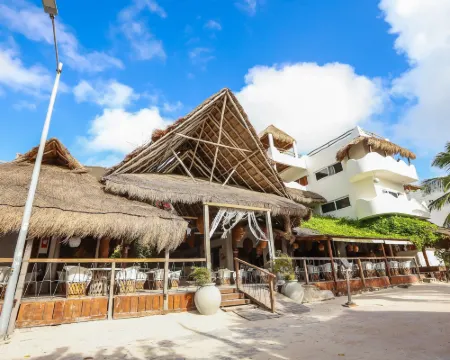 40 Cañones Hoteles en Mahahual