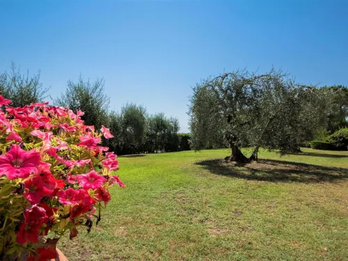 Flat with Shared Pool and Air Conditioning