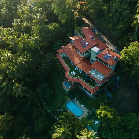 The Albatross, Kandy