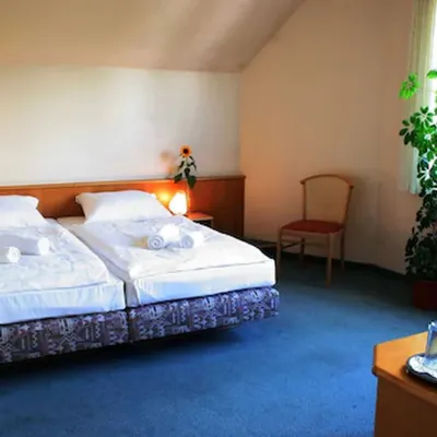 Hotel Leano Hotels near Trave River