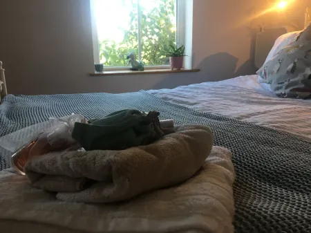 Driftwood Loft Отели в г. Kircubbin