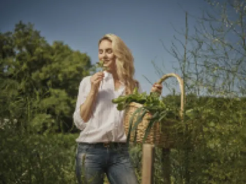 Hotel Toplice - Terme Krka Hotels in Novo Mesto