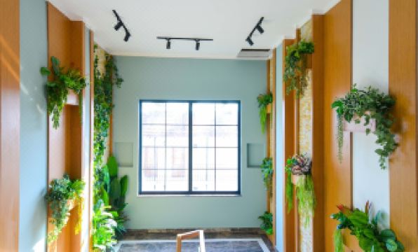 Juglans Suites