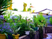 Safari Park House โรงแรมในอรุชา