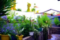 Safari Park House Hotels in 