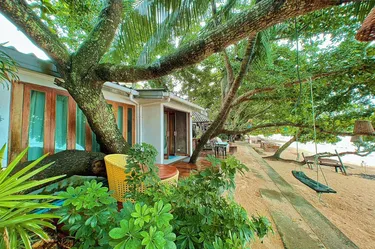 รูปภาพของปาล์มรีสอร์ท กระบี่