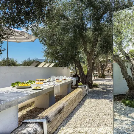 CocoTrullo