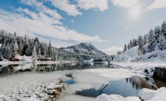 Cozy Apartment Near Ski Area in Turracherhohe
