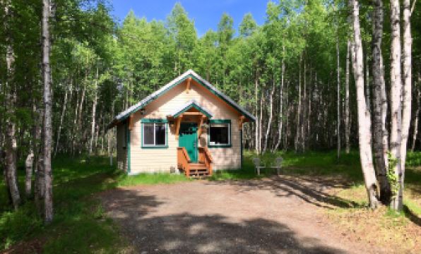 Takleetnas Mount Dall Cottage with Wi-fi and Washer/Dryer