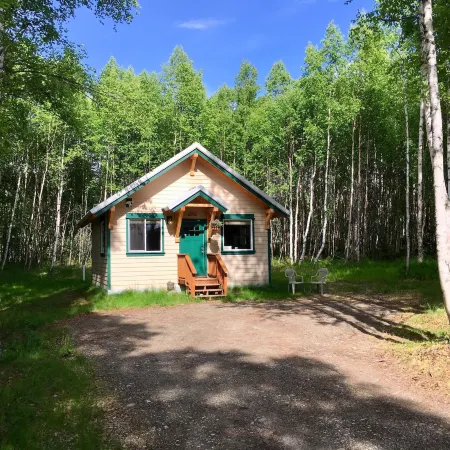 Talkeetna's Mount Dall Cottage - WiFi&Laundry - Easy Access from Parks Highway!
