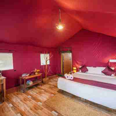Nature Zone Jungle Resort- Experience the Wilderness & Adventure Rooms