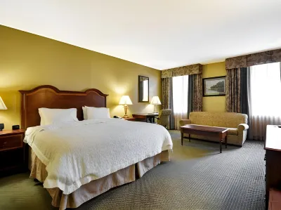 Hampton Inn Charleston-Historic District Hotels near Pineapple Fountain