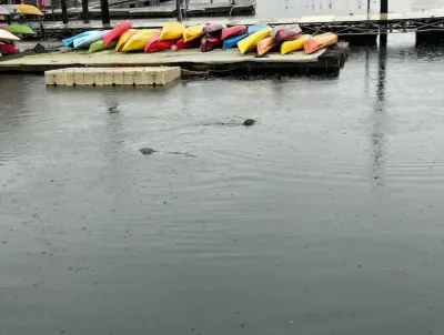 Delightful 1- bedroom floating home w free parking Hotels in der Nähe von Tugboat Sandman