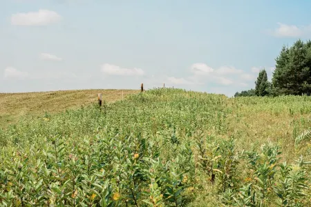 Northwoods Country Getaway! 40 acres to play and enjoy! No Cleaning Fee!!