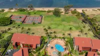Pool, Hot Tub, BBQ and Scenic Landscape - Elegant Ocean View Oasis Hotels in Hawaii-Maui